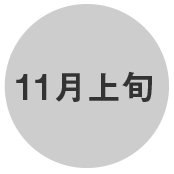 11月上旬